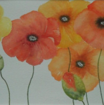 Mohn 90×50